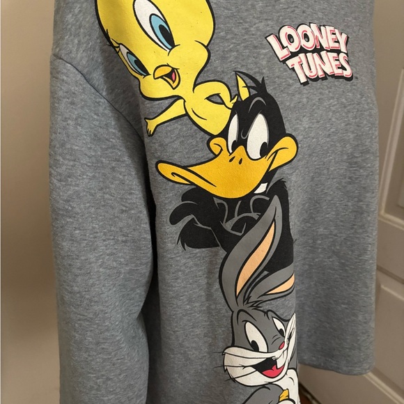 Warner Bros. Looney Tunes Gray Sweatshirt - Picture 2 of 7